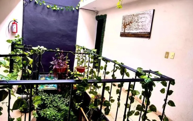 Mini Hotel | San Luis Potosí