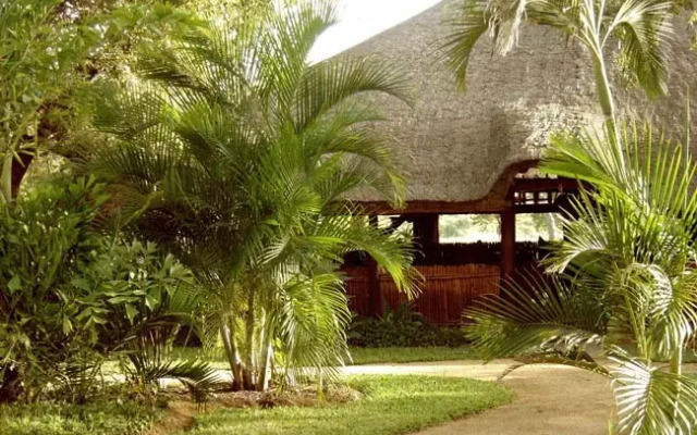 Hongonyi Private Game Lodge
