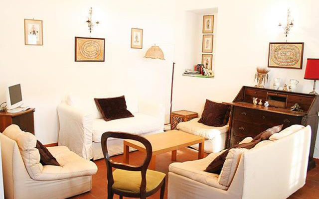 Falcognana - INH 22666