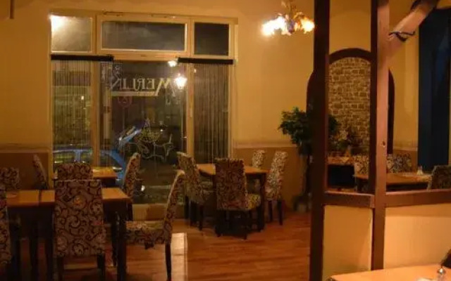 Pension am Park Merlin