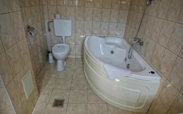 Pension Casa Blaga