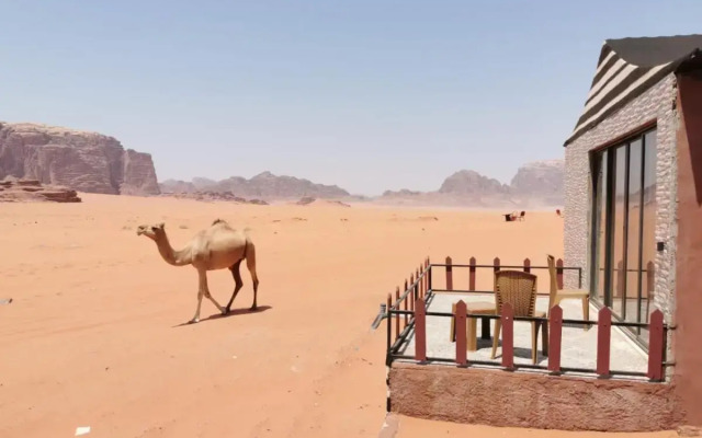 Magic Bedouin Star - Campsite