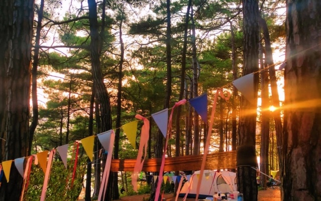 Camping Enot-Arkhipo-Osipovka