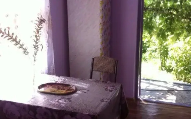 Guest House on Cvizhba Street