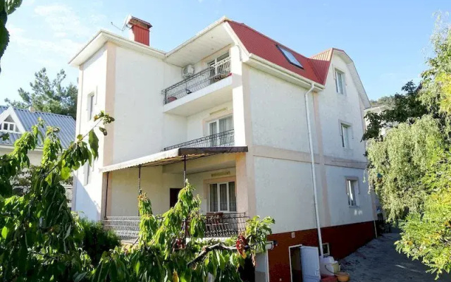 Romashka House