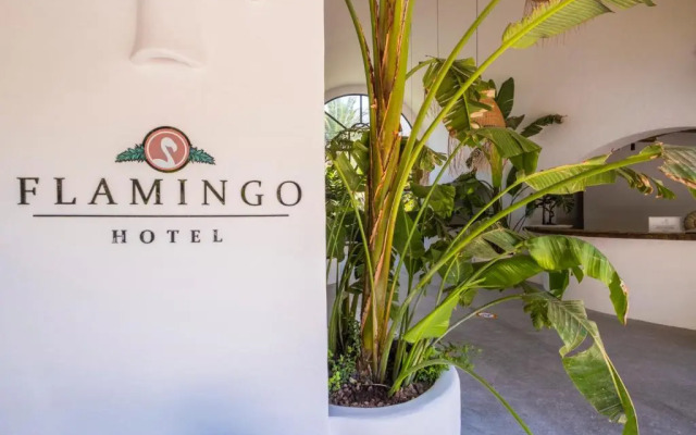 Flamingo Hotel & Spa - Pet Friendly