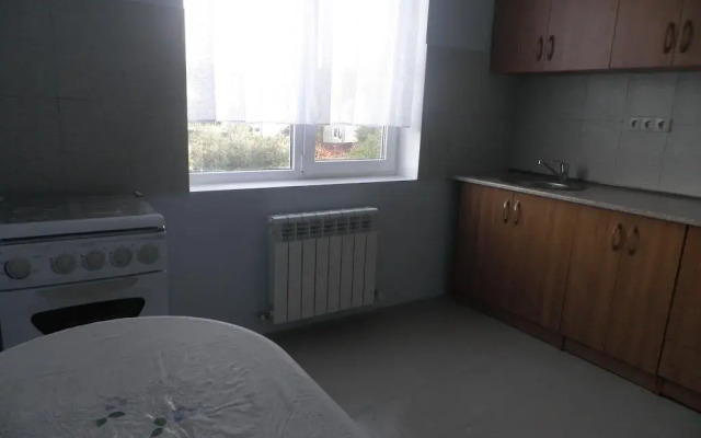 Veselyy Guest House