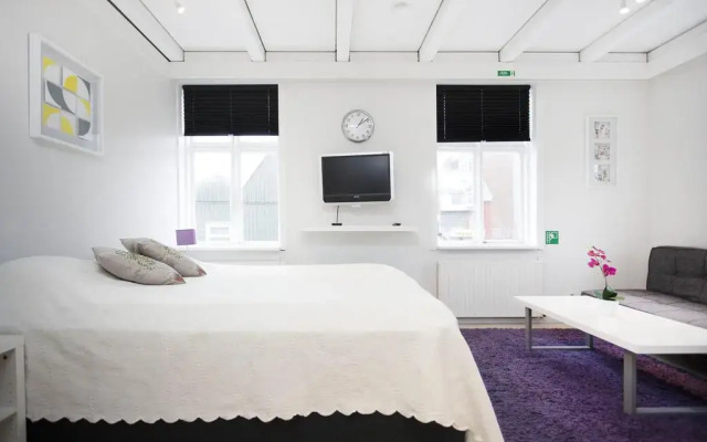 Reykjavik Central Apartments