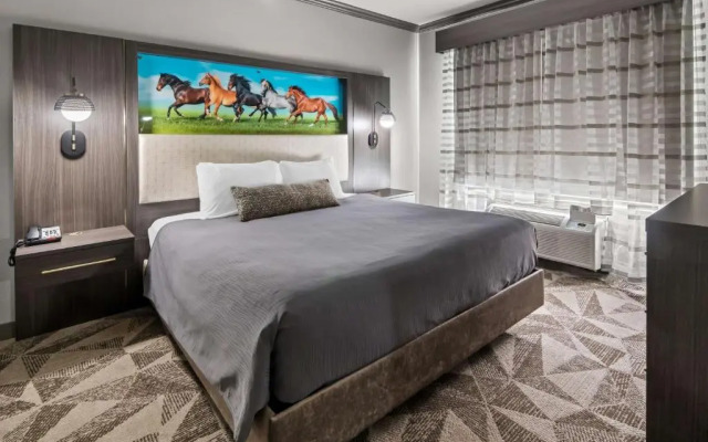 Big Country Hotel & Suites, SureStay Collection by BW