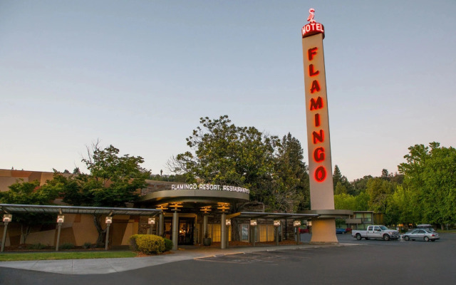 Flamingo Resort & Spa Santa Rosa Sonoma, Tapestry by Hilton