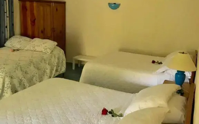 Playazul Hotel 