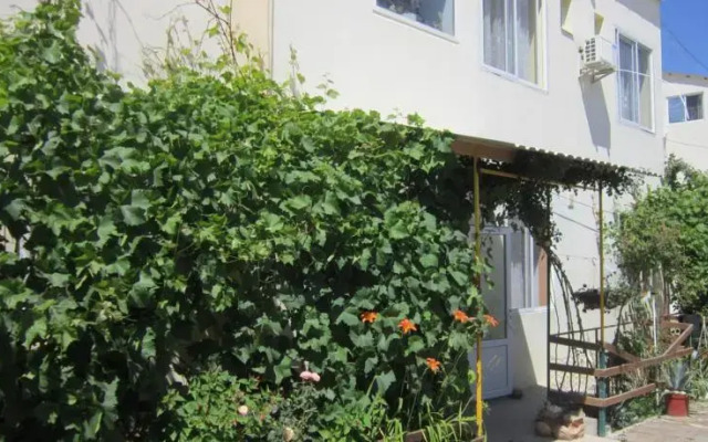 Kameliya u Morya Guest House