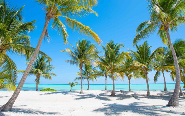 Marriott Miches Beach Resort