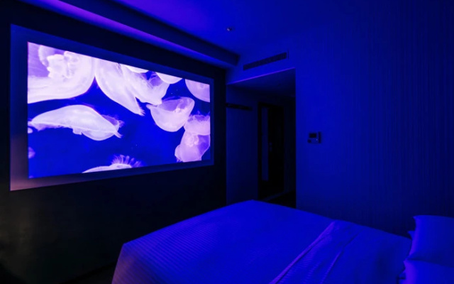 Box Theater Double room (풀 더블 침대) 사진 1