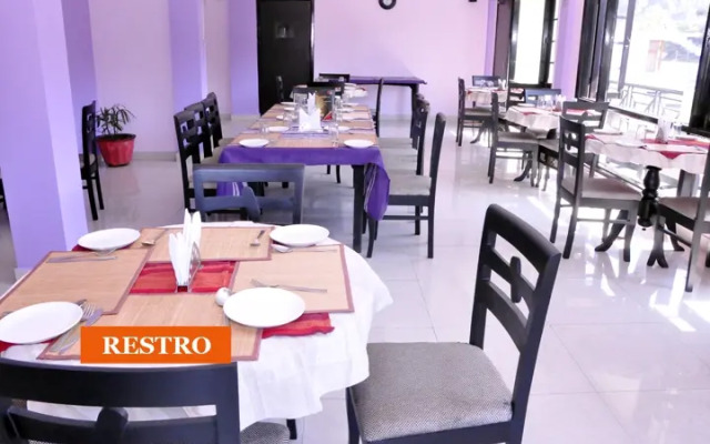 OYO 4109 Hotel Traveller Inn