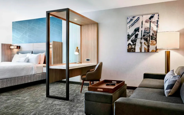 SpringHill Suites by Marriott San Diego Carlsbad