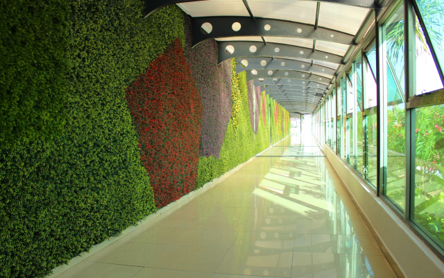 Отель Seadust Cancun Family Resort