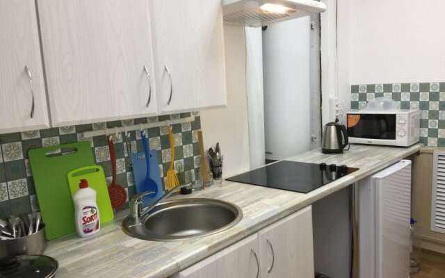 Studii Spb Chapygina