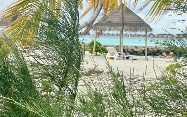 La Isla Tropica Hotel