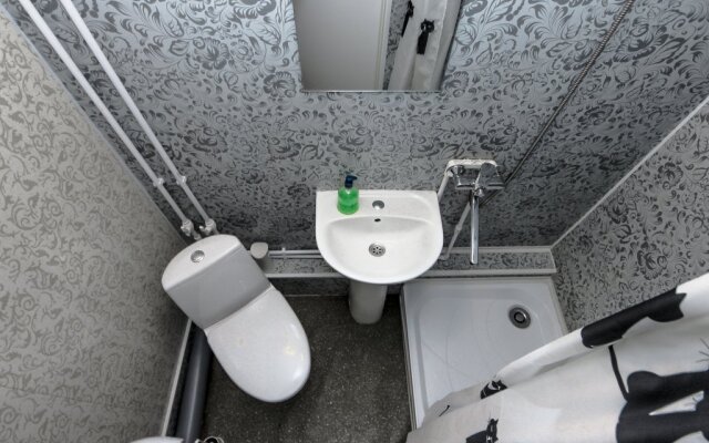 Studii Spb Chapygina