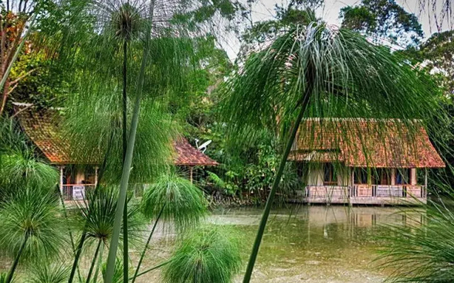 Sapulidi Cafe, Resort & Gallery