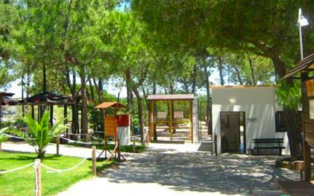 Camping Tavira