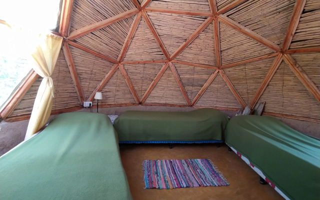 Hostel Casa Arbol