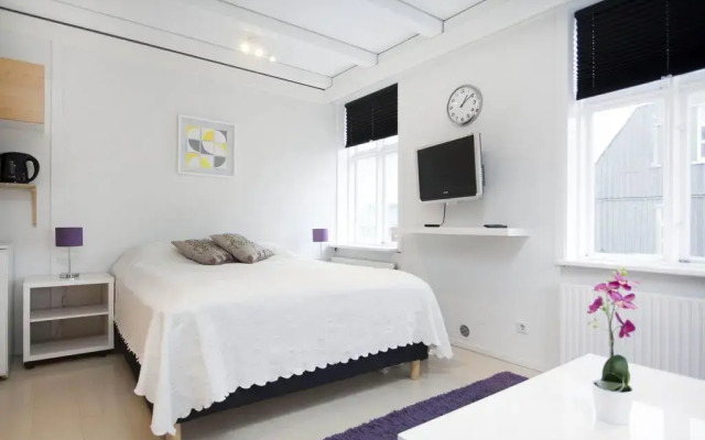 Reykjavik Central Apartments