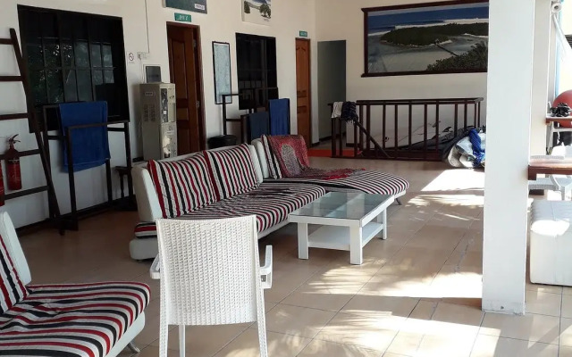 Cokes Surf Camp
