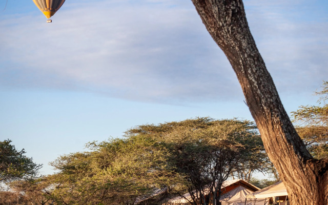 Gnu Ndutu Camp