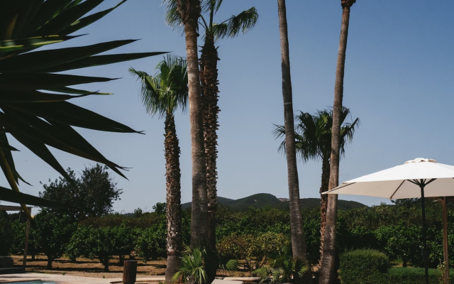 Can Arabi Adults Only