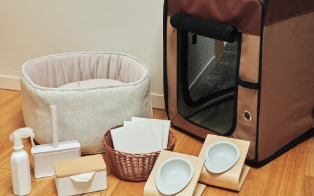 Dog Friendly Twin room (트윈 침대 2개) 사진 4