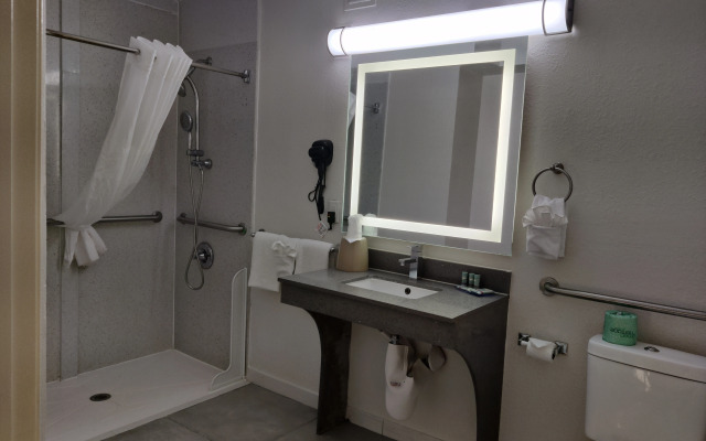 Best Western Atlanta Cumberland/Galleria Hotel
