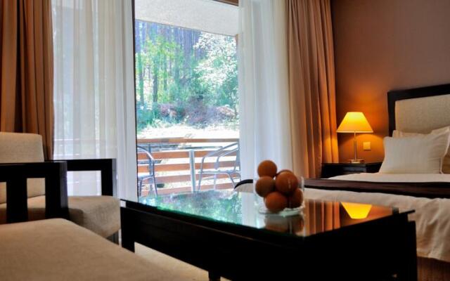 Kashmir Wellness & SPA Hotel Adults Only