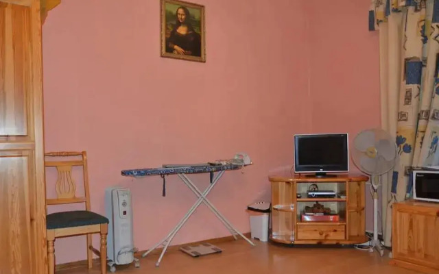 Mini Hotel Gostepriimnyy Peterburg