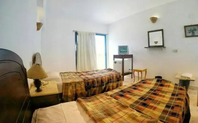 Amego  Dahab