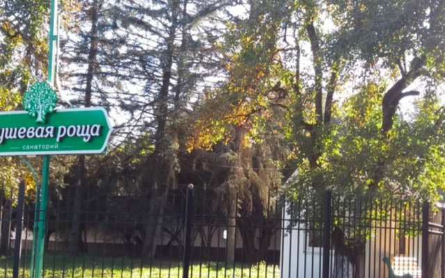 Sanatorium Grushevaya Rosha