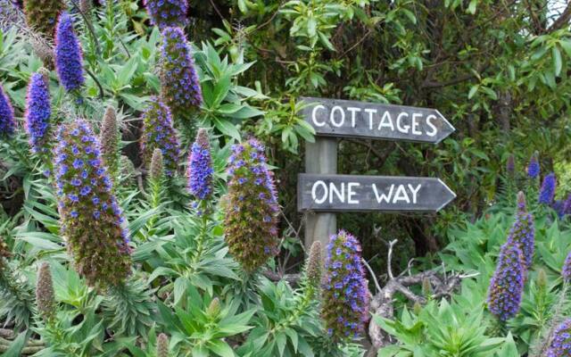 Akaroa Cottages