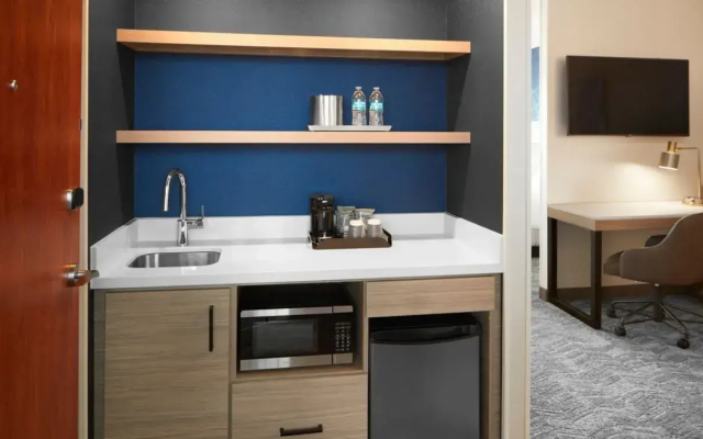 SpringHill Suites by Marriott Virginia Beach Oceanfront
