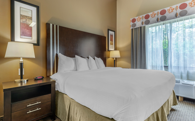 Best Western Plus Texoma Hotel & Suites