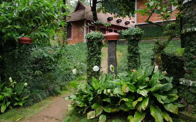Misty Woods Resort