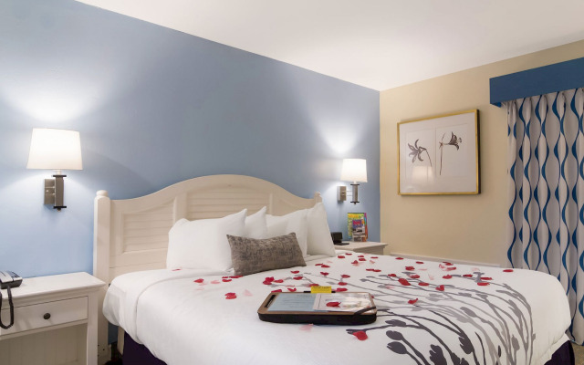 Ocean Sands Beach Boutique Inn - 1 Acre Private Beach