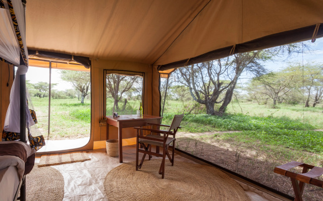 Gnu Ndutu Camp