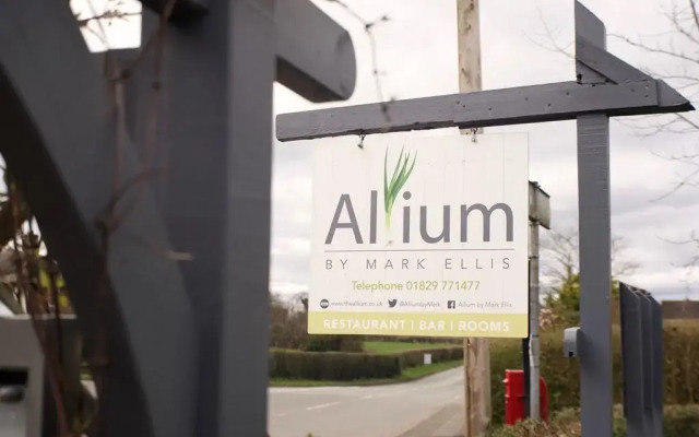 Allium by Mark Ellis