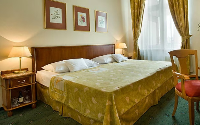 Standard Double room (full double bed)