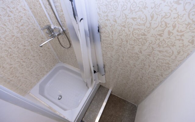 Studii Spb Chapygina