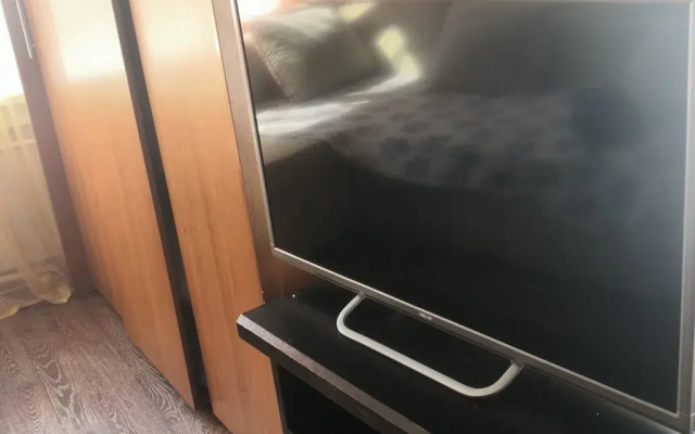 U Kliniki Meshalkina Apartments