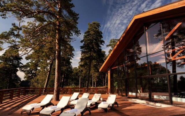Гостиница Green Wood Spa Hotel в Новосибирске отзывы, цены и фото номеров - забронировать гостиницу Green Wood Spa Hotel онлайн Новосибирск
