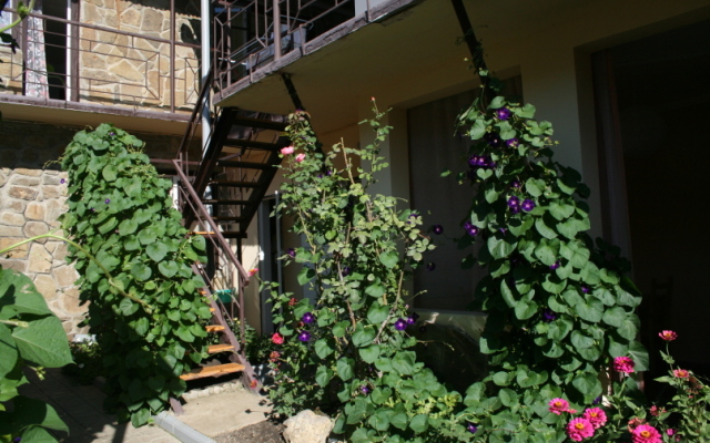 French Patio