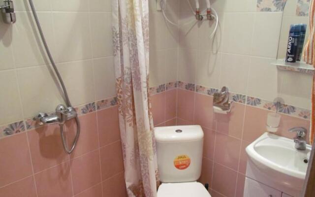 Mini Hotel na Borovoy
